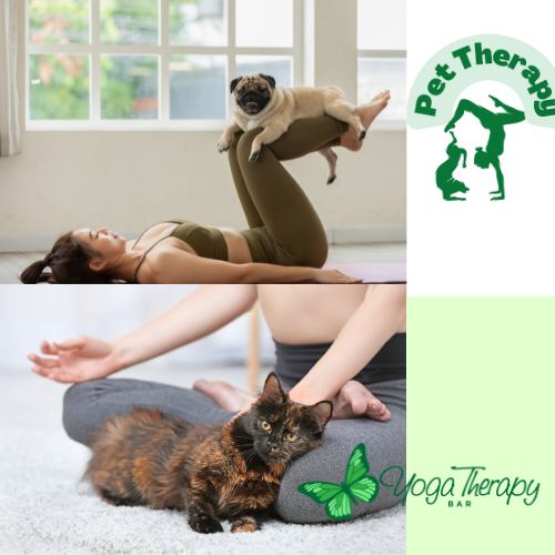 Tips for Practicing Yoga with Your Pet Yoga Therapy Bar physical